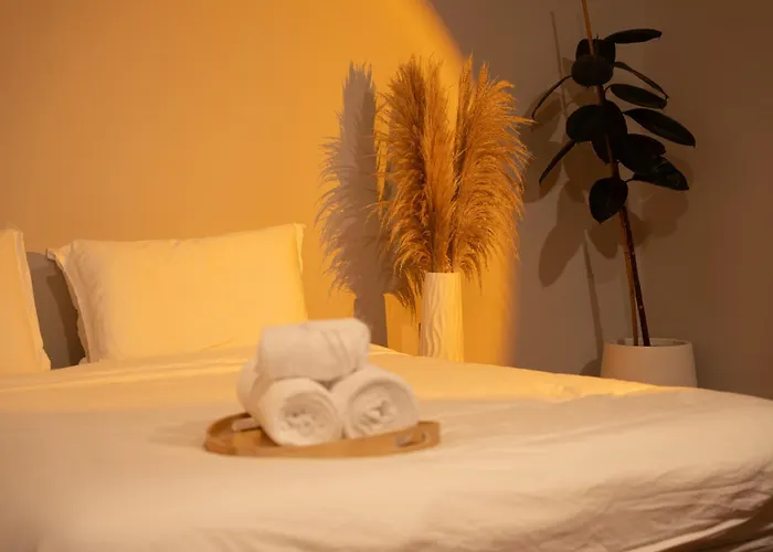 943summer Villa曼谷中心asok&tong Lor800平海天别墅 Villa Bangkok